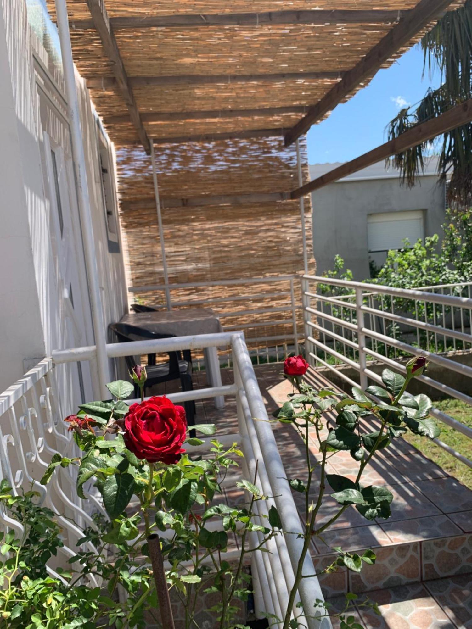 Apartmani Antonela Seline Εξωτερικό φωτογραφία